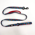 Load image into Gallery viewer, Dual Padded Handle Leash (Large)-Grandma's Candy Dish