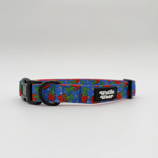 Grandma's Candy Dish Comfort Collar