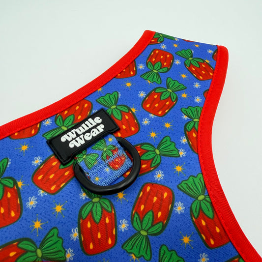 Grandma's Candy Dish No-Pull Harness