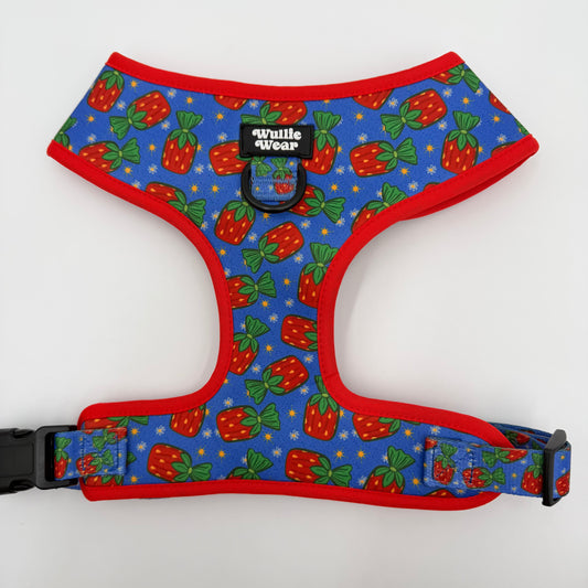 Grandma's Candy Dish No-Pull Harness