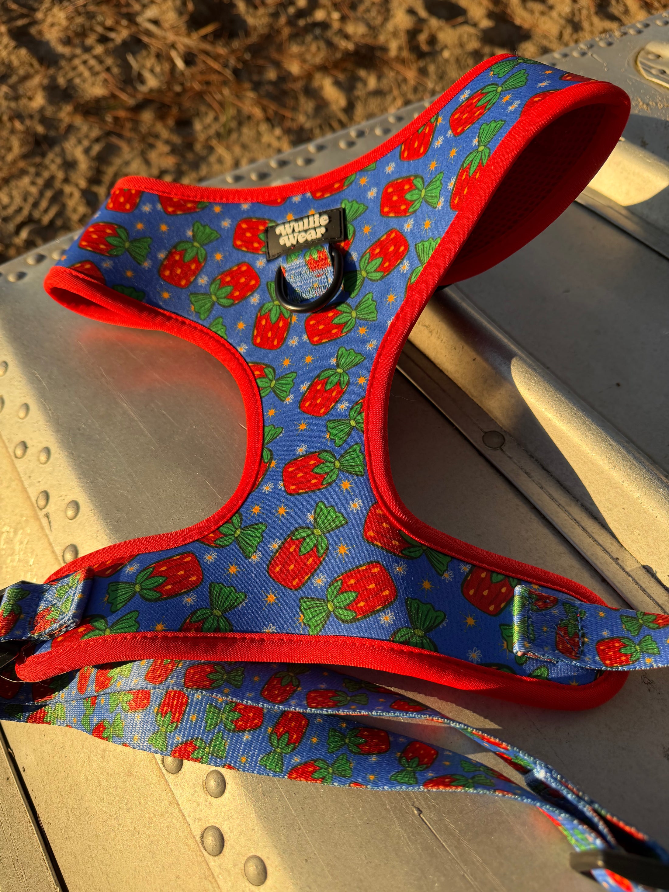Grandma's Candy Dish No-Pull Harness
