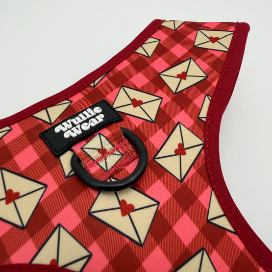 Signed, Sealed & Sniffed No-Pull Harness