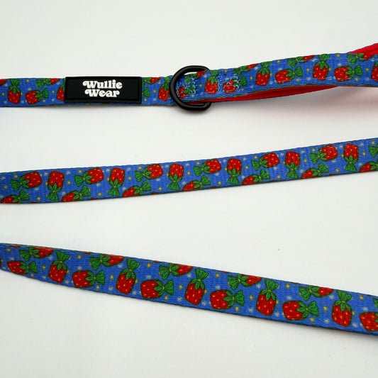 Single Padded Handle Leash-(Small)-Grandma's Candy Dish