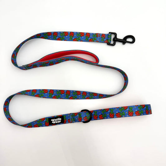 Dual Padded Handle Leash (Large)-Grandma's Candy Dish