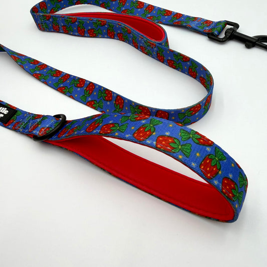Dual Padded Handle Leash (Large)-Grandma's Candy Dish