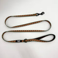 Load image into Gallery viewer, Single Padded Handle Leash- (Small)-Hoppy Pups
