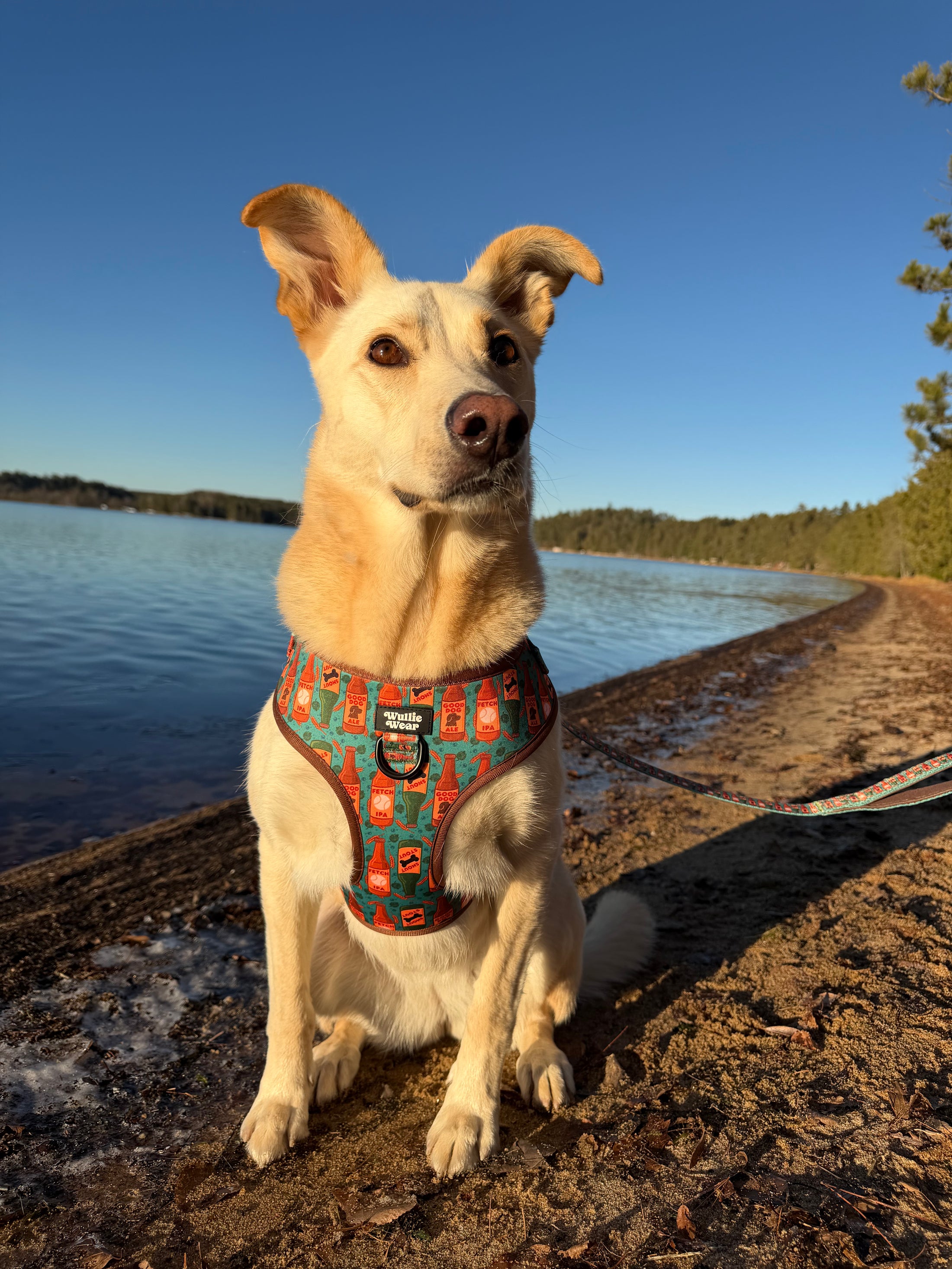 Hoppy Pup No-Pull Harness
